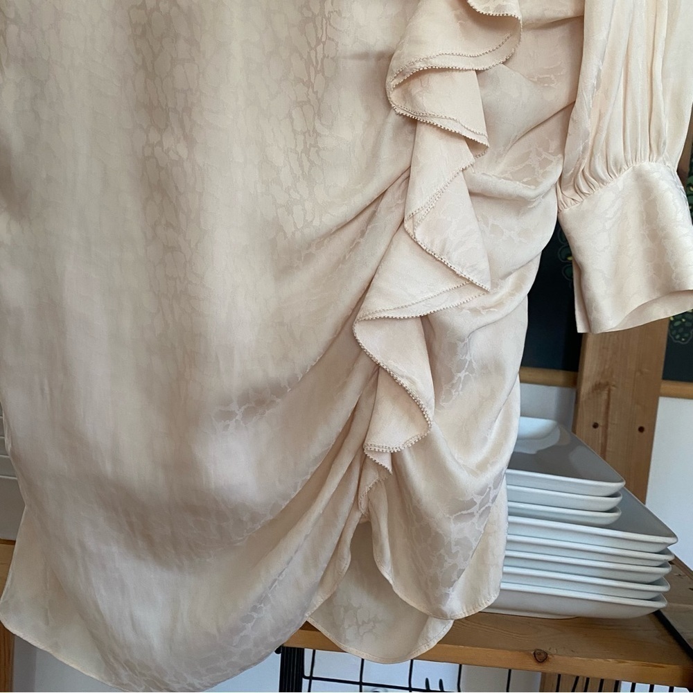 Ladaire Cream Satin Elara Snake Texture Satin Long Sleeve Mini Dress Medium - Picture 7 of 16